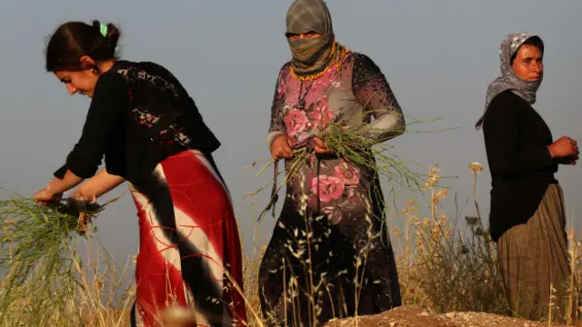 यज़ीदी महिलाएं