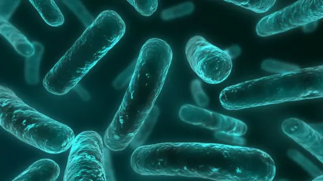 پہلے بھی بیکٹیریا کو اینٹی بایٹکس کے خلاف مدافعت پیدا کرتے دیکھا گیا ہے لیکن اس بار یہ بہ آسانی دوسرے قسم کے بیکٹیریا میں پھیل رہا ہے