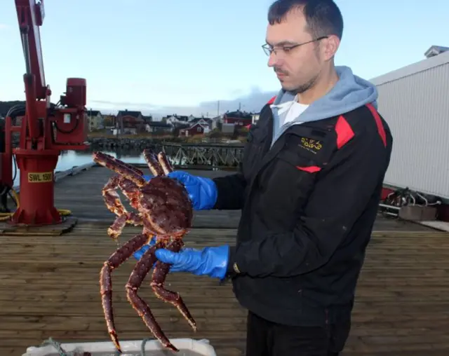 这位渔民瓦西里耶夫说，帝王蟹是俄国送给挪威的礼物 