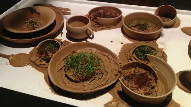 Lewat karyanya, Ayu Larasati menunjukkan hasil penelusurannya tentang keadilan di balik rantai produksi dan konsumsi pangan.