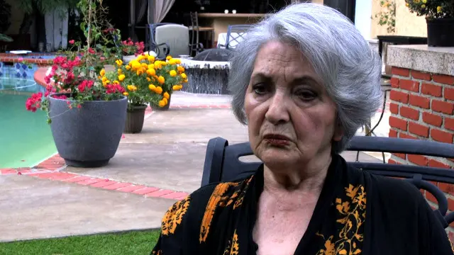 ویدا قهرمانی ساکن لس‎‌آنجلس است و در تلویزیون، تاتر و سینما بازی می‌کند