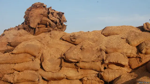 अनाज की स्टोरेज