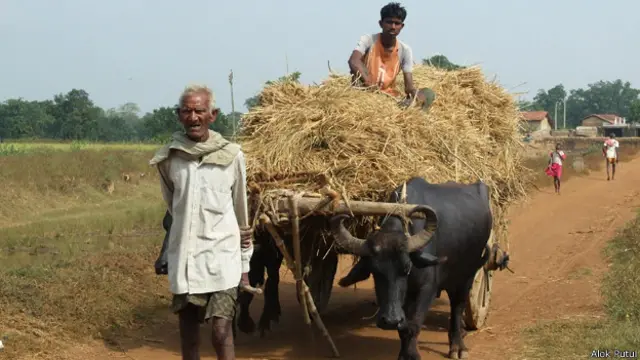 धान के किसान