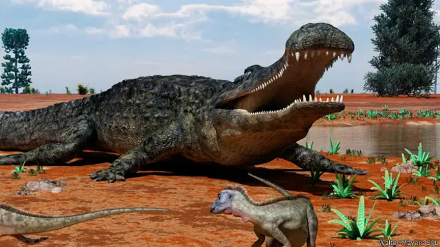 Саркозух императорский