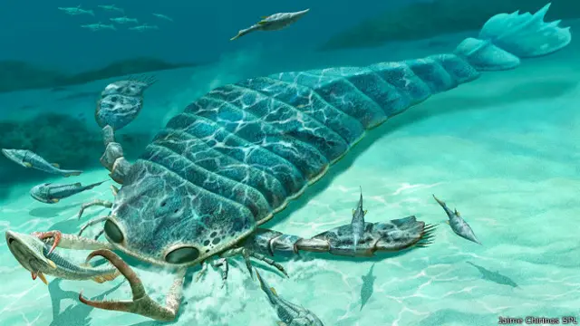 Ракоскорпион