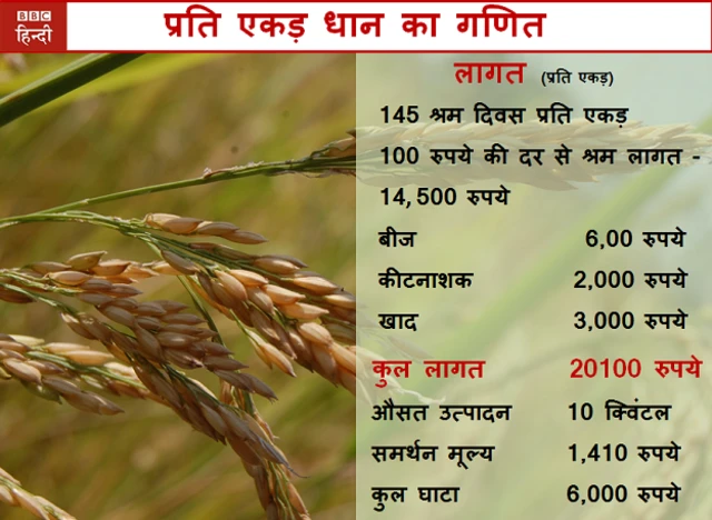 धान का गणित