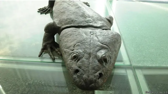 Макет метопозавра 