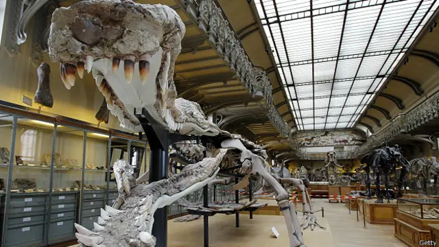 Саркозух императорский скелет