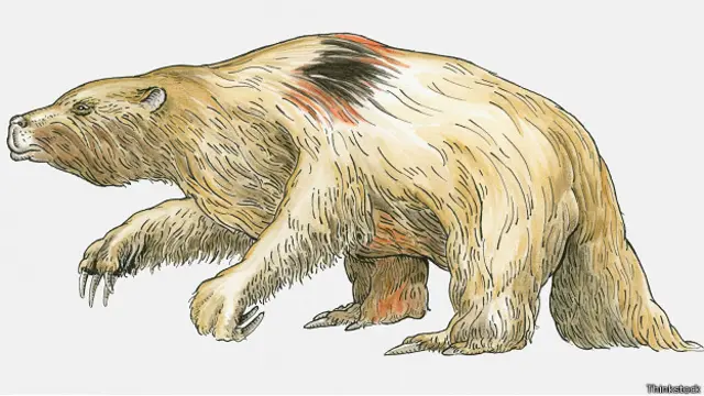 Рисунок мегатерии