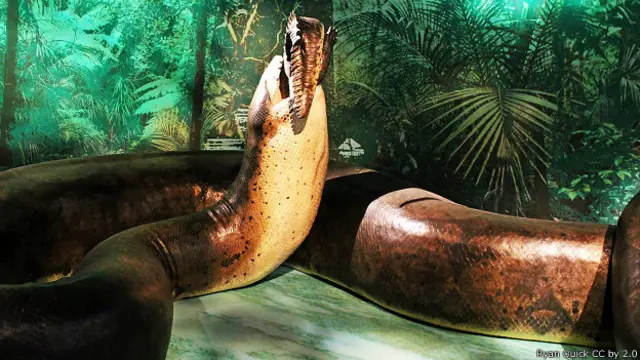 Модель змеи титанобо