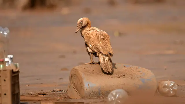 प्रदूषण