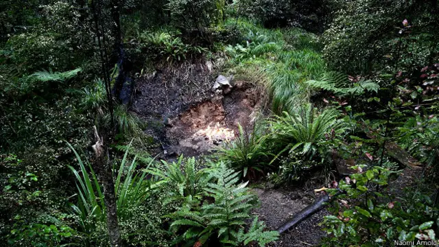 Негаснущий огонь в лесу