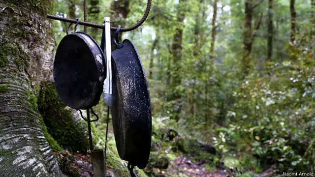 Сковородки на дереве