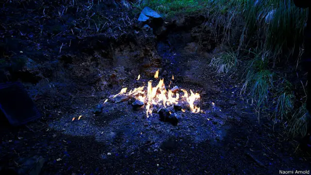 Огонь в сумерках