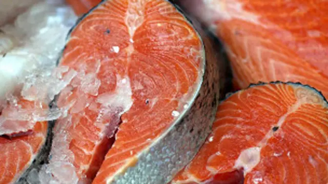 Este salmón crece más rápido que el salmón tradicional.