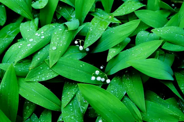 Александр, Новокузнецк