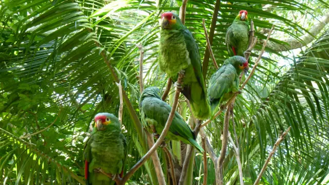 Наталия Маршалл