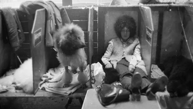 Una persona y su perro en un show canino de 1960