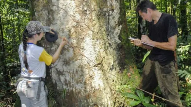 الحدائق والمحميات ستمنع انقراض الأنواع المهددة إذا كانت تدار بشكل صحيح.