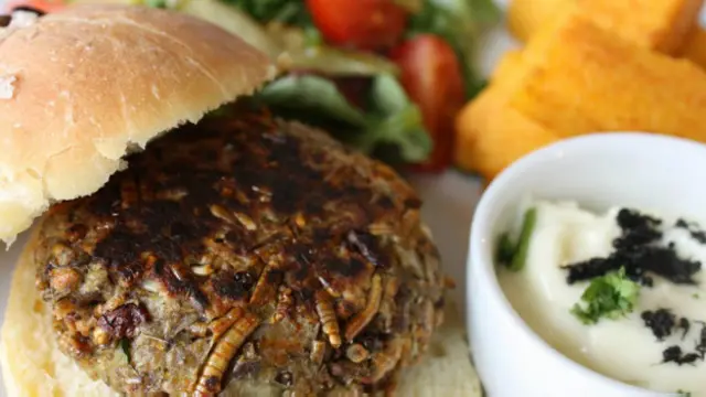 Hambúrguer feito com larvas, gafanhotos e grilos é a estrela do cardápio do Grub Kitchen
