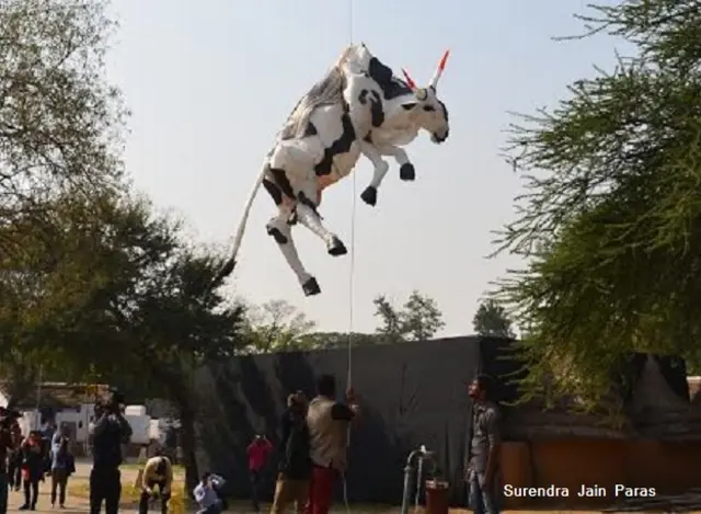 गाय की डमी