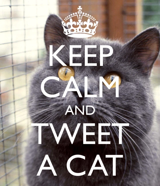 keepcalm-o-matic.co.uk