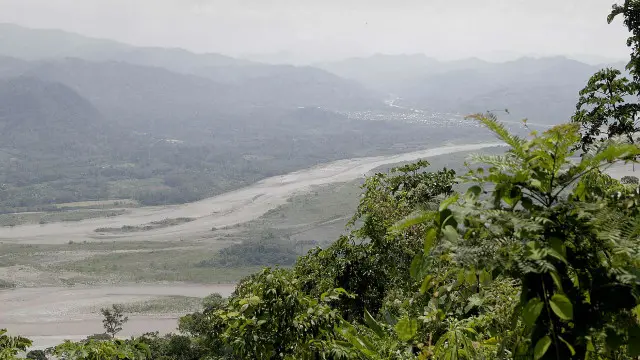 En el Vraem, la coca está por todos lados.