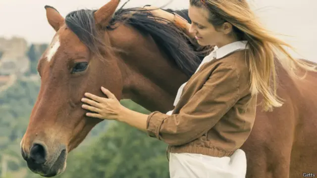 马不仅能读懂人类的动作，还可以根据自己的经验改变其执行任务的方式(图片来源：Daniele Barioglio / Getty)