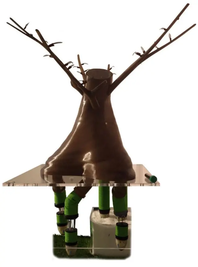 Este robot creado por Mazzolai se comporta como una planta.