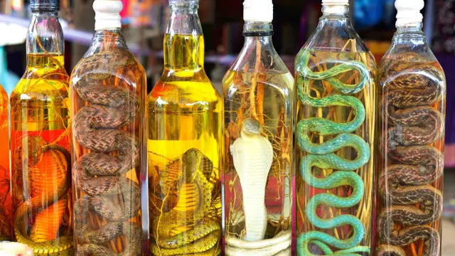 El vino de serpiente en botellas