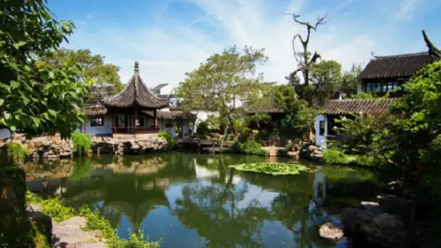 تشكل حديقة "ماستر أوف ذا نتس" الهادئة في سوجو أحد أكثر المزارات شعبية في المدينة