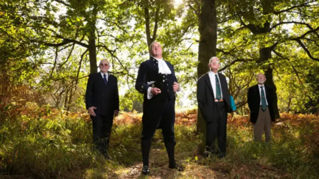 (图片来源：David Stock)