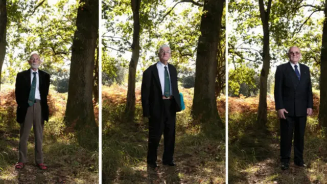 (图片来源：David Stock)