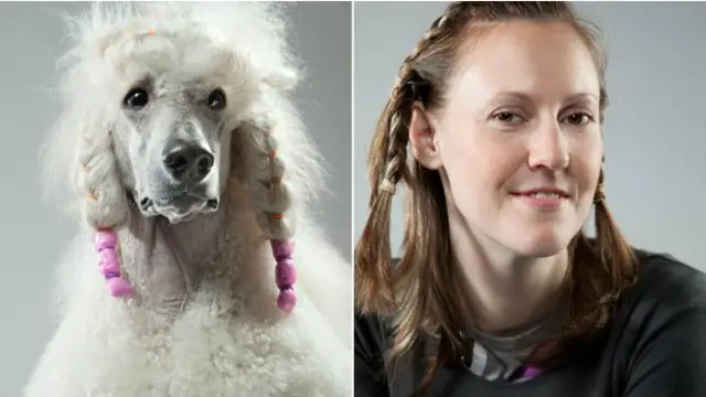 Para psicólogos, tendemos a nos apegar a cães com personalidades parecidas com a nossa