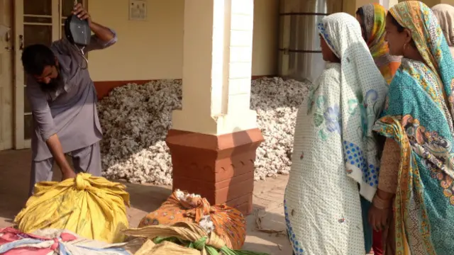 حکومت ہر سال کپاس کا ریٹ نکالتی ہے۔ اس میں تاجر برادری کا اپنا اتحاد ہے، فیکڑی والے اپنی مرضی کا ریٹ مقرر کرواتے ہیں