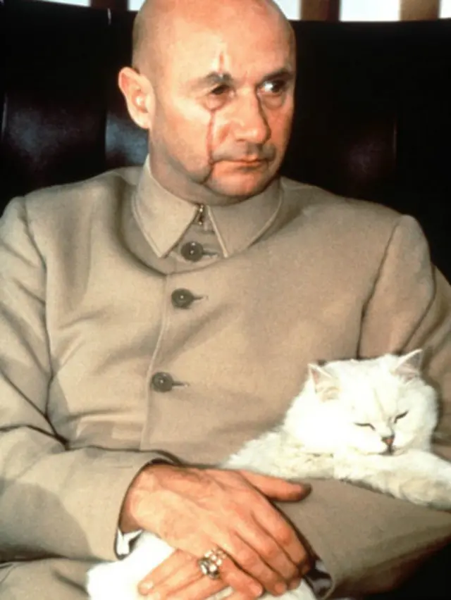 چندین شخصیت پلید فیلم های جیمز باند مثل ارنست استاورو بلوفلد و شخصیت منفی اسپکتر، فیلم تازه جیمز باند، لباس هایی شبیه کت مائویی به تن دارند.