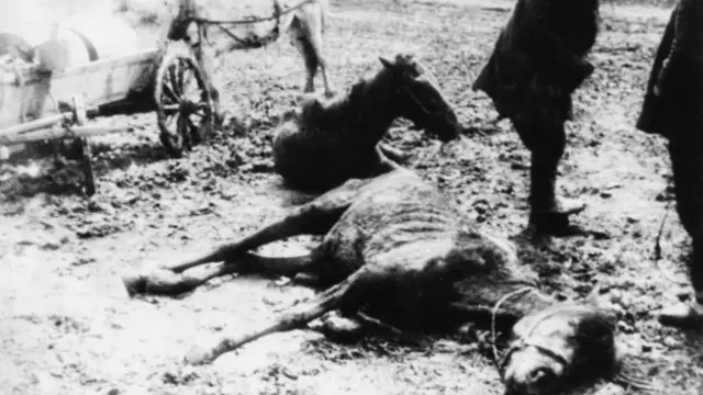 Мертвая лошадь