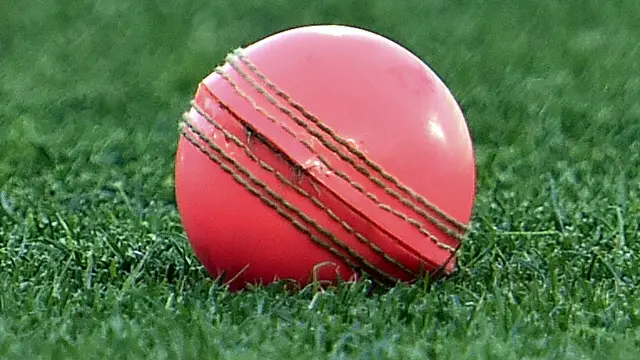 ڈے اینڈ نائٹ ٹیسٹ میں روایتی سرخ گیند کی جگہ گلابی رنگ کی گیند استعمال کی جاتی ہے