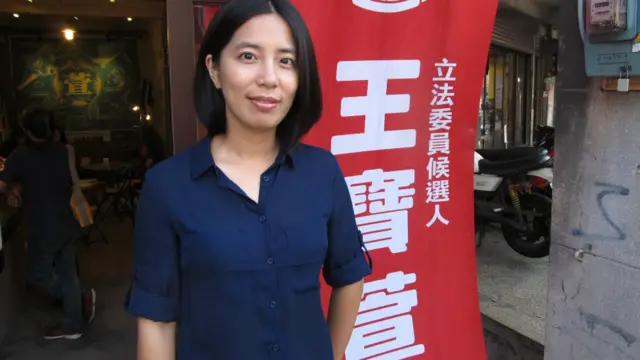 台湾绿社盟立法委员候选人王宝萱