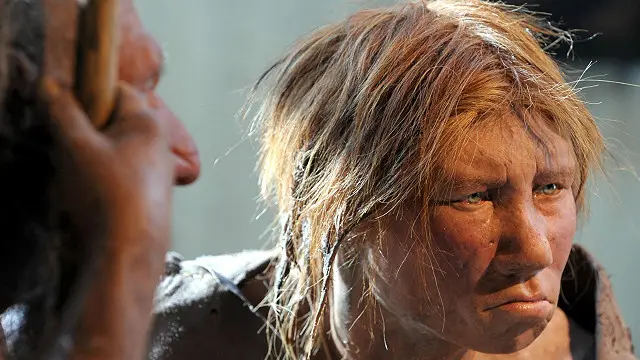 Neanderthal