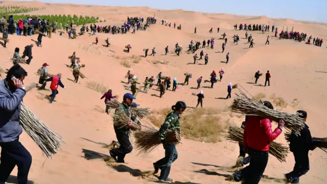 通过多年的生态修复库布其沙漠已经拥有200多个有10年以上生态修复经验的民工联队（资料照片由亿利资源集团提供）