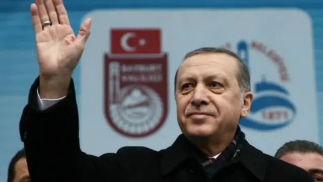 土耳其总统埃尔多安