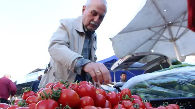 Россияне увидят турецкие помидоры на прилавках, вероятно, нескоро