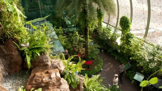 Aeropuerto de Changi 