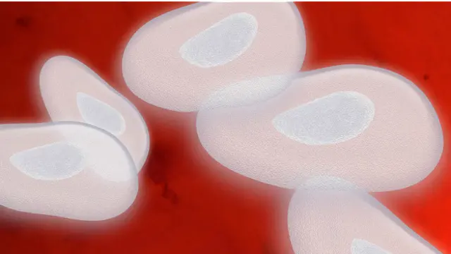 Иммунная система запоминает своих старых врагов, поэтому в зрелом возрасте бороться с простудами становится легче