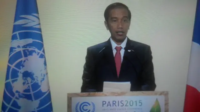 Presiden Joko Widodo mendukung Kesepakatan Paris yang mencerminkan keseimbangan, keadilan, serta sesuai prioritas dan kemampuan nasional, mengikat, jangka panjang, ambisius, namun tidak menghambat pembangunan negara berkembang.