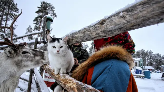 Фото Макса Ломакіна