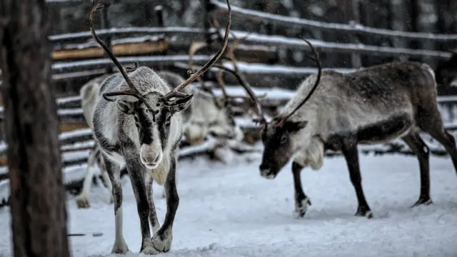 Фото Макса Ломакіна