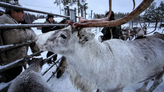 Фото Макса Ломакіна