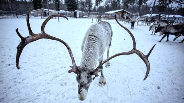 Фото Макса Ломакіна